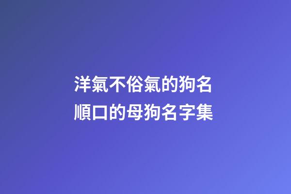洋氣不俗氣的狗名 順口的母狗名字集
